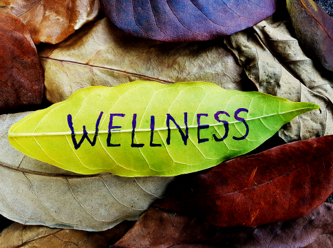What is Wellness in the Here &&nbsp;Now?