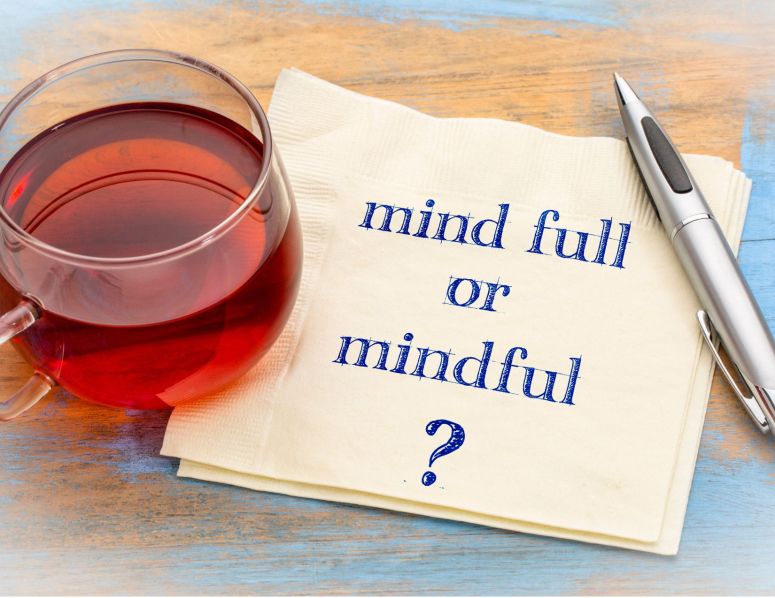 You Are Not Your Thoughts. How to Use Your Mind to Live From the Heart &&nbsp;Soul.